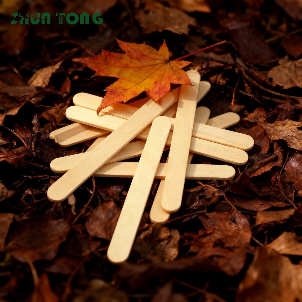 Customized Wooden Popsicle Sticks